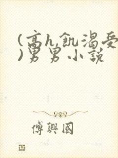 (高h,饥渴受)男男小说