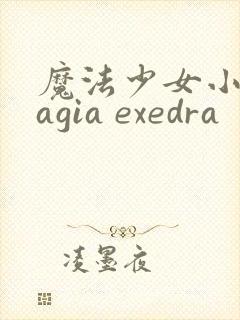 魔法少女小圆magia exedra