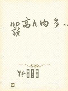 np高h肉多小说