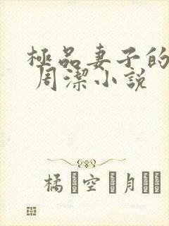 极品妻子的秘密 周洁小说