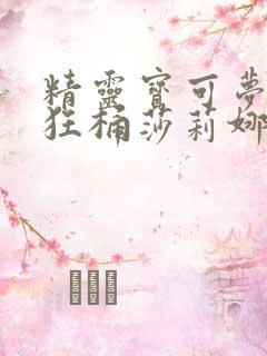 精灵宝可梦小智狂桶莎莉娜的应用