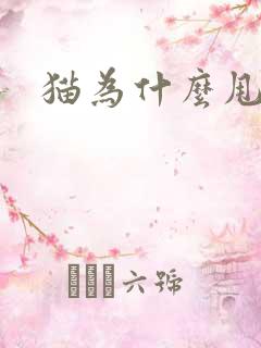 猫为什么甩尾巴