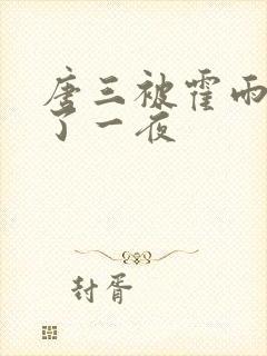 唐三被霍雨浩c了一夜