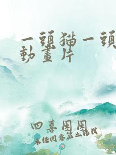 一头猫一头狗的动画片