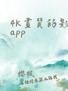 4k画质的影视app