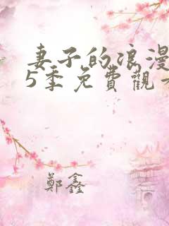 妻子的浪漫旅行5季免费观看