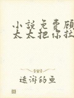 小说免费顾总,太太把你拉黑了