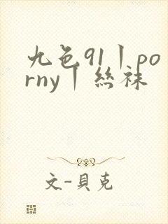 九色91丨porny丨丝袜