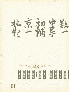 北京初中数学一对一辅导一小时多少钱