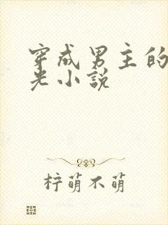 穿成男主的白月光小说