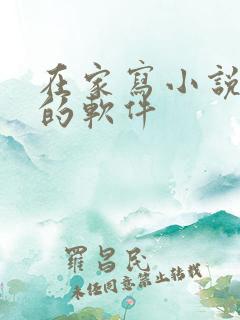 在家写小说赚钱的软件