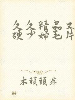 久久精品又粗又硬少妇毛片