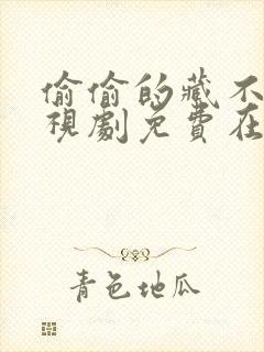 偷偷的藏不住电视剧免费在线