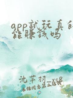 app试玩真的能赚钱吗