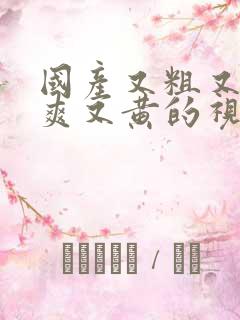 国产又粗又猛又爽又黄的视