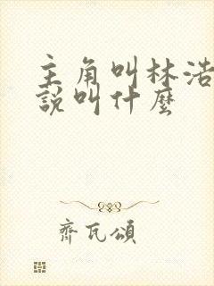 主角叫林浩的小说叫什么