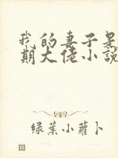 我的妻子是大乘期大佬小说版