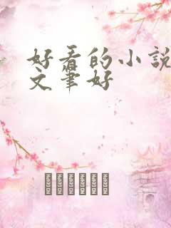 好看的小说推荐文笔好
