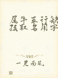 属牛五行缺火男孩取名用字