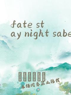 fate stay night saber