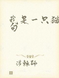 我是一只猫下一句