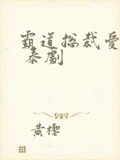 霸道总裁爱上我 泰剧