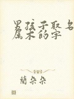 男孩子取名五行属木的字