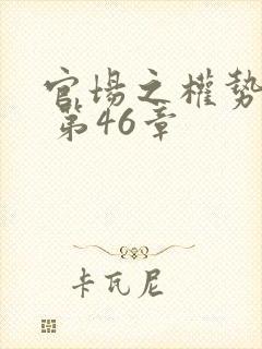 官场之权势滔天 第46章