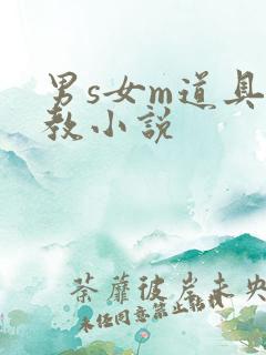 男s女m道具调教小说
