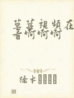 草莓视频在线观看啊啊啊