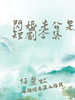 闪婚老公是豪门短剧合集