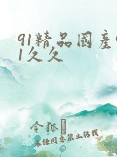 91精品国产91久久