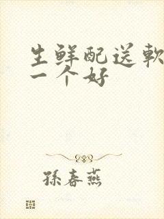 生鲜配送软件那一个好