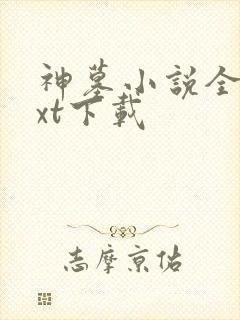 神墓小说全本txt下载