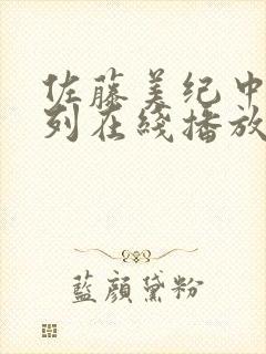 佐藤美纪中文系列在线播放