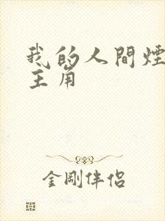 我的人间烟火女主角