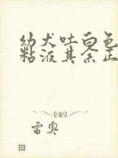 幼犬吐白色泡沫粘液其余正常