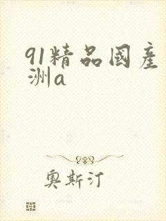 91精品国产亚洲a