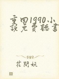 重回1990小说免费听书