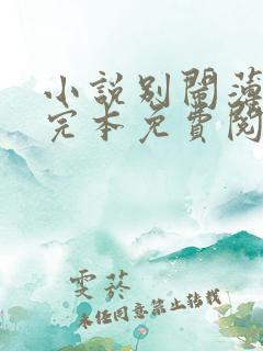 小说别闹薄先生完本免费阅读