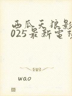 西瓜天狼影院2025最新电视剧