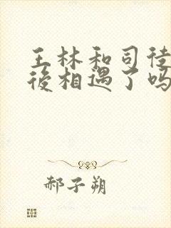 王林和司徒南最后相遇了吗