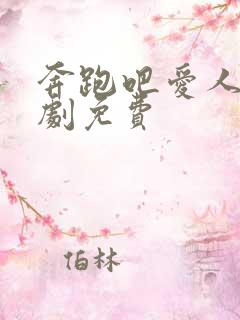 奔跑吧爱人电视剧免费