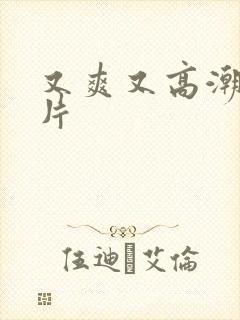 又爽又高潮的毛片