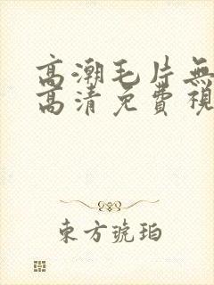 高潮毛片无遮挡高清免费视频网站