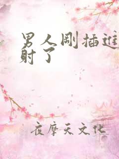 男人刚插进去就射了