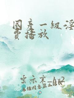 国产一级淫片免费播放