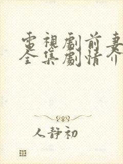 电视剧前妻回家全集剧情介绍