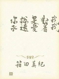 你总是对我说你永远爱着我什么歌