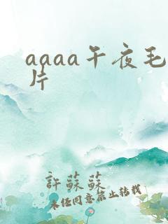 aaaa午夜毛片